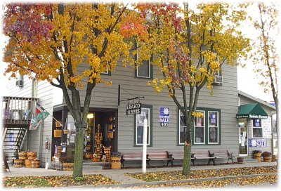 The Original Plastic Basket Sleeve